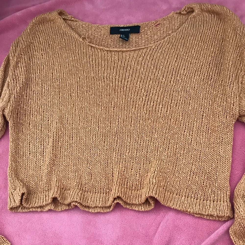 Forever 21 Cropped Sweater